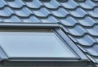 Willow Treeskylight-replacements.jpg; ?>